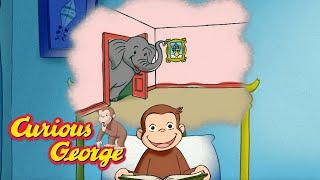 The Elephant Upstairs  Curious George Kids Cartoon  Kids Movies Videos for Kids