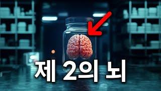 뇌과학이 숨긴, 제 2의 생각법