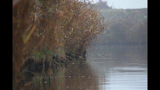 Kajak und Foto Tour durch Ostfriesland