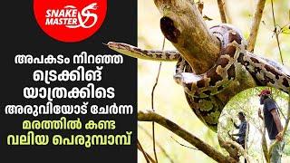 പെരുമ്പാമ്പും, മരത്തവളയും, മനോഹരമായ വെള്ളച്ചാട്ടവും | Vava Suresh | Snakemaster EP 1030