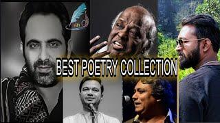 Best Shayari Status। Legends Shayari collection। Best Poetry । Hindi shayari। Baba Bekhabar