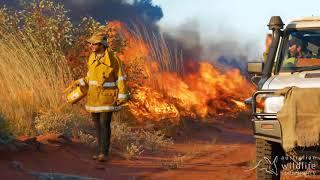 Ecofire | Australia's largest non-government fire management program