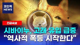 [시바이누 코인] 코인으로 쉽게 은퇴자금 마련! 1000배 상승 예정! 고래 순유입 2,133% 급증! 수익 파티 시작!