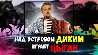 Над островом диким | цыганский аккордеонист Даня Боровик