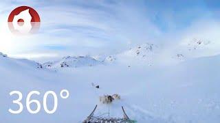 360° Dogsledding Tour in East Greenland