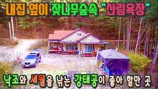 강원도 횡성부동산 잦나무숲속 산림욕장 횡성전원주택매매 [강원도 횡성군 둔내부동산] #횡성주택