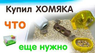 Купил ХОМЯКА ? тебе еще нужно купить.  что нужно приобрести перед покупкой хомяка  #яХрумка