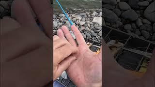 Рыбалка на донную снасть #приключения #рыбалка #fishing