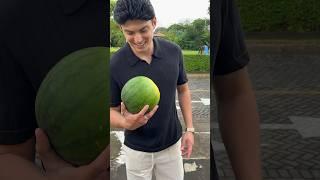 The juiciest watermelon I’ve had #fruit #fypシ #travel #vlog #watermelon #costarica #lunch