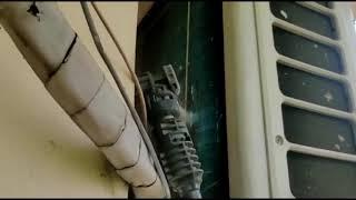 How to service split AC outdoor unit/AC Service/outdoor cleaning of Air conditioner