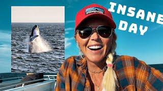 BREACHING WHALES! INSANE DAY! Trawler life aboard our Nordhavn Mermaid Monster! #156