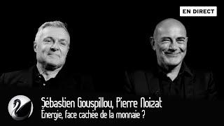 Énergie, face cachée de la monnaie ? Sébastien Gouspillou et Pierre Noizat [EN DIRECT]
