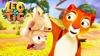 LEO and TIG   NEW  The Wood Rabbit  Cartoon For Children  Moolt Kids Toons Happy Bear