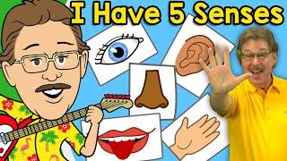 I Have Five Senses  Jack Hartmann Senses Song