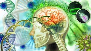 Immediate BRAIN Repair  Your Body Will Have Clear Changes, Full Body Massage (432Hz) #1