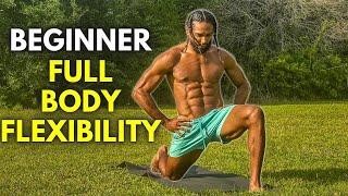 20 Min Beginner Full Body Flexibility Routine (Follow Along)