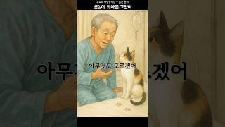 병실에 찾아온 고양이 - 짧은동화 #쇼츠 #고양이 #감동