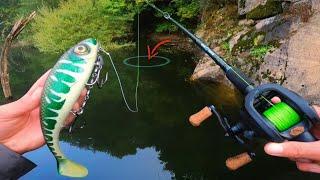 Je traque le géant d'eau douce des montagnes du Cantal !! (Pêche au leurre)