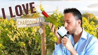 Chardonnay Wine ... 5 Reasons to love Chardonnay Wine! [Your wine cellar will thank you]