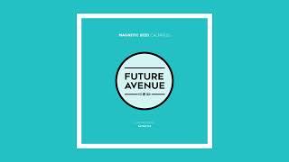 Magnetic Seed - Calmness [Future Avenue]