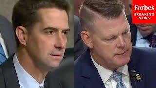 Tom Cotton Straight-Up Asks Secret Service Acting Director: Who Denied Resources To Trump?