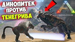 Динопитек ПРОТИВ Тенегрива в ARK! Насколько СИЛЕН Динопитек? Сражение против Карно, Тенегрива, Рекса