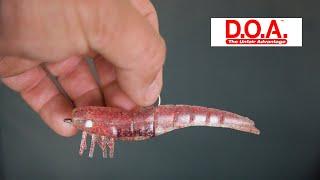 The Best Soft Plastic Shrimp For Speckled Trout (HOW TO CATCH MORE FISH WITH A DOA SHRIMP)