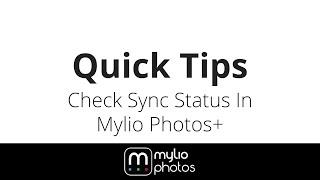 Check Sync Status In Mylio Photos+