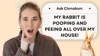 Answering YOUR Rabbit Questions | Ask Cinnabun Episode One!