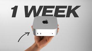 M4 Mac Mini – 1 Week Later: A $599 Base Model Review