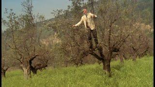 A Room with a View (1985) by James Ivory, Clip: George (Julian Sands) shouts out his credo: 'Beauty'