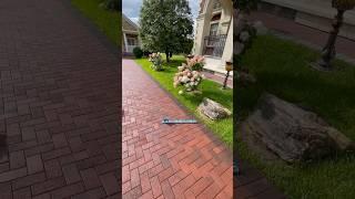 Укладка брусчатки елочкой Как вам? #брусчатка #двор #сад #стройка #дача #тротуарнаяплитка #дорожки