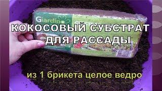 КОКОСОВЫЙ СУБСТРАТ- какая польза? ПОЧВОГРУНТ - КАК ПОДГОТОВИТЬ КОКОСОВЫЙ брикет ДЛЯ РАССАДЫ