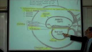 INTRO TO HUMAN EMBRYOLOGY; PART 1 by Professor Fink