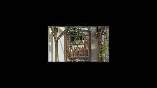 Creating a Practical Magic verandah ️