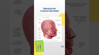 Poznaj atlasy dla klasy! Do historii, biologii, anatomii i geografii