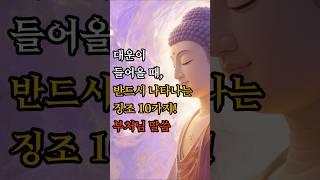 대운이 들어올 때, 반드시 나타나는 징조 10가지! #부처님말씀 #불교명상