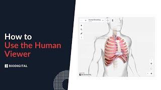 How to use the BioDigital Human Viewer