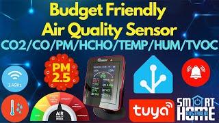  Mustool MT29 Air Quality Monitor Review | Budget-Friendly or Bust? 