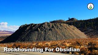 Rockhounding For Obsidian | SciWorx Geology