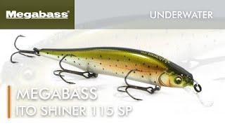 Megabass Ito Shiner 115SP - Underwater (Lure Action)