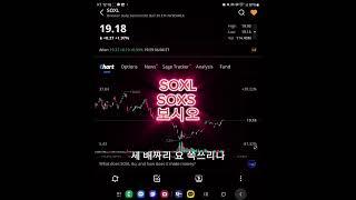 개잡주도 좋지만 슬슬 SOXL SOXS 볼 시기입니다 #soxl #soxs #나스닥 #개잡주