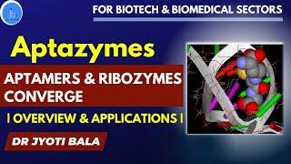 Aptazymes: Where Aptamers and Ribozymes Converge for Biotech & Biomedical Applications-Dr Jyoti Bala