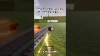 The Other Pov Must Look Wild  #roblox #flashpoint