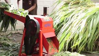 Chaff Cutter Machine-Modern Dairy Machines