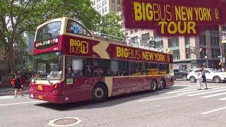 New York Big Bus Tour - Night & Day 4K