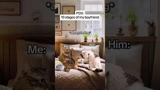 CAT MEMES 10 stages of my boyfriend #catmemes #relatable #relationship