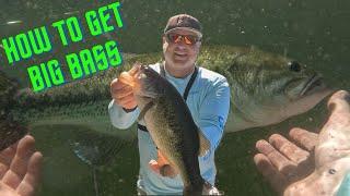 MONSTER BASS INSANITY!! #fishing #oregon #pnw