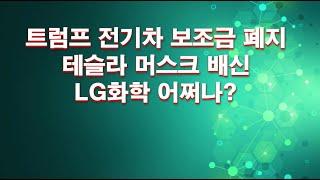 트럼프 전기차 보조금 폐지! 테슬라 머스크 배신 LG화학 LG에너지솔루션 어쩌나?