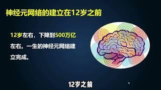 大脑知识科普第一课，了解大脑发育过程，抓住孩子的天赋窗口期